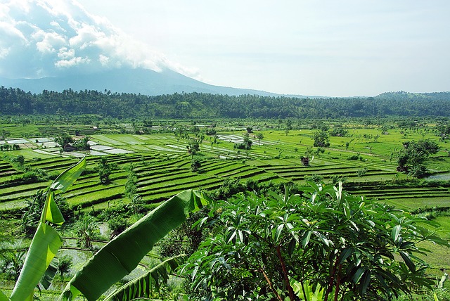 Wieso eine Auszeit auf Bali dein Leben für immer verändern wird